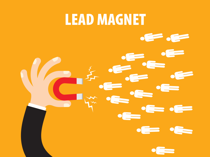 как работает лид-магнит